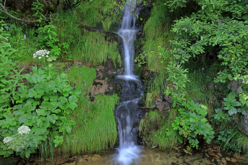 Cascade en Lozère