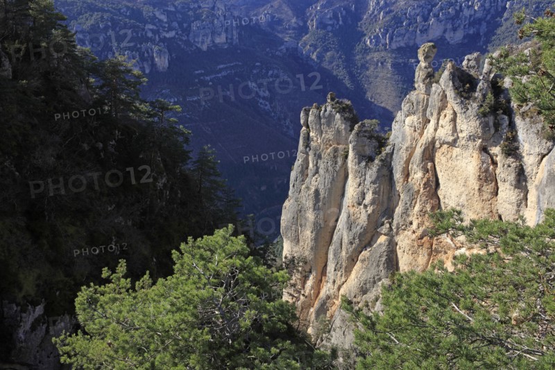 Gorges du Tarn, Aveyron