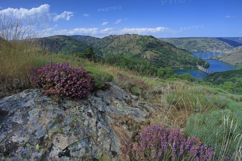 Villefort, Lozère