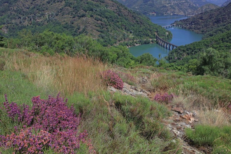 Villefort, Lozère