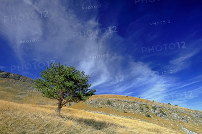 Paysage des Hautes-Alpes