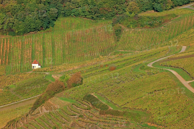 Château-Chalon, Jura