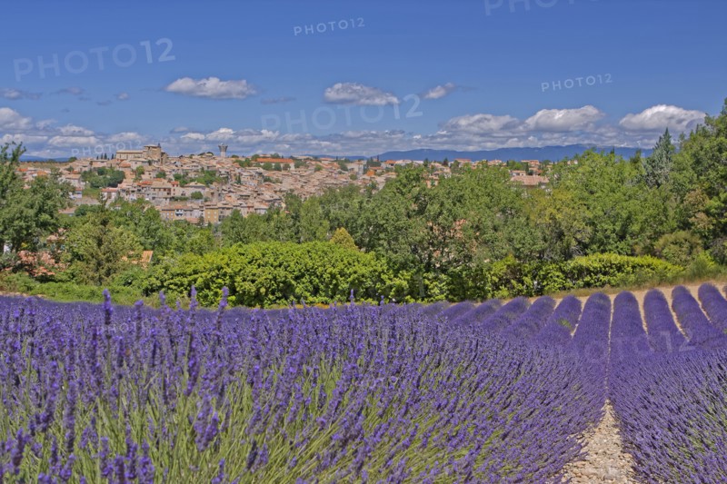 Valensole, Alpes-de-Haute-Provence