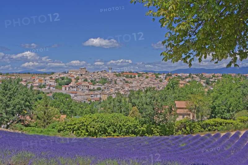 Valensole, Alpes-de-Haute-Provence