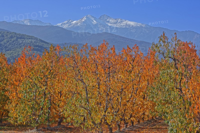 Massif du Canigou, Pyrénées-Orientales