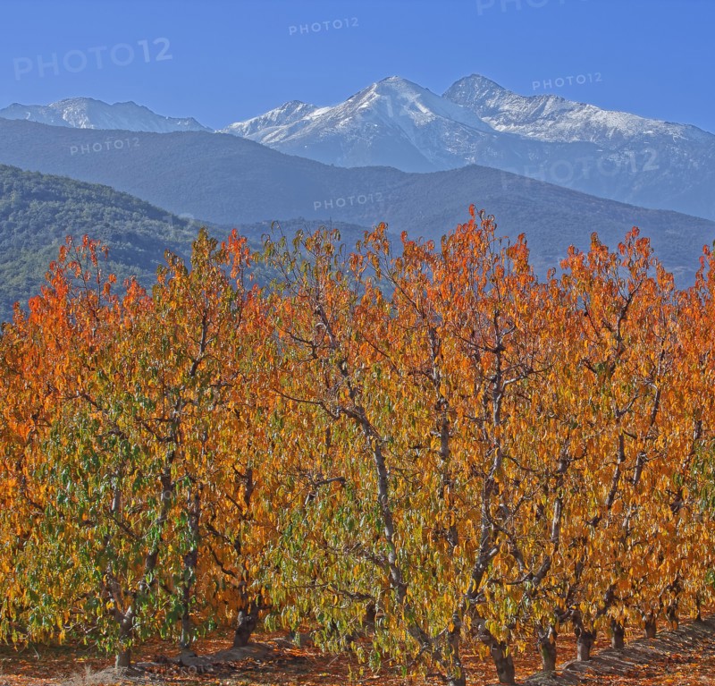 Massif du Canigou, Pyrénées-Orientales