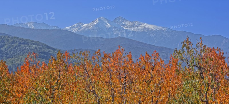 Massif du Canigou, Pyrénées-Orientales
