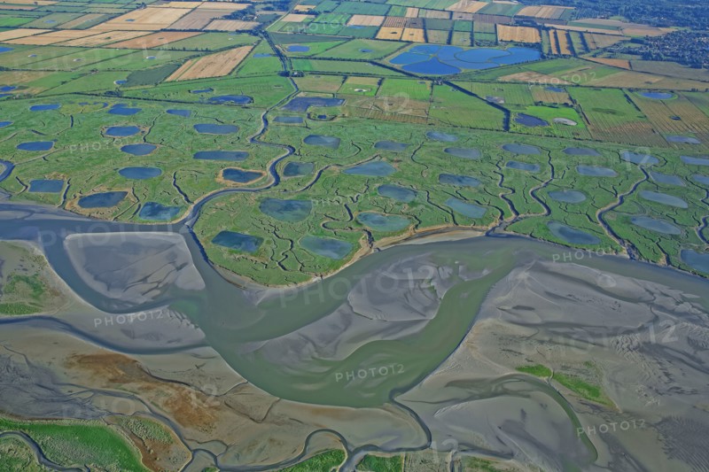 The Baie d'Authie, Somme, France