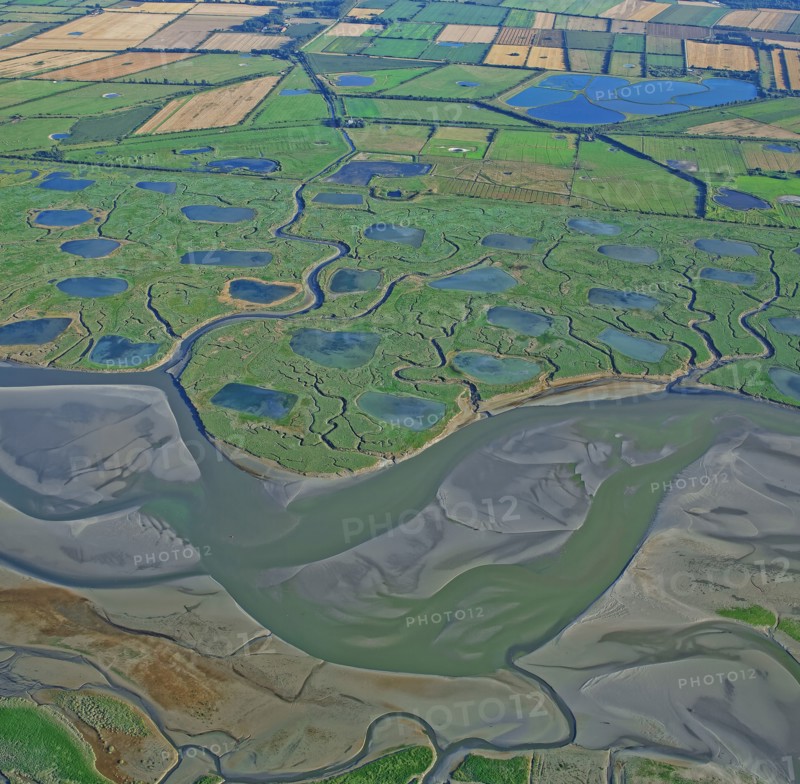 La Baie d'Authie, Somme