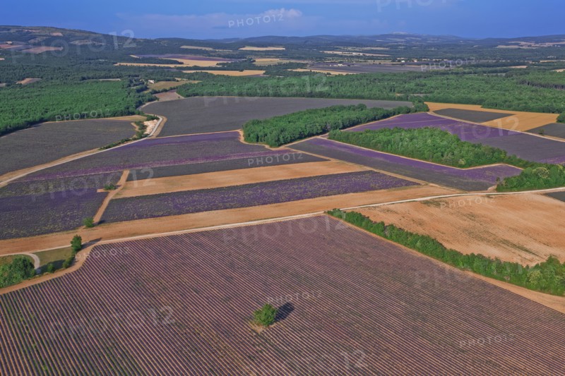 Plateau de Valensole, Alpes-de-Haute-Provence, France