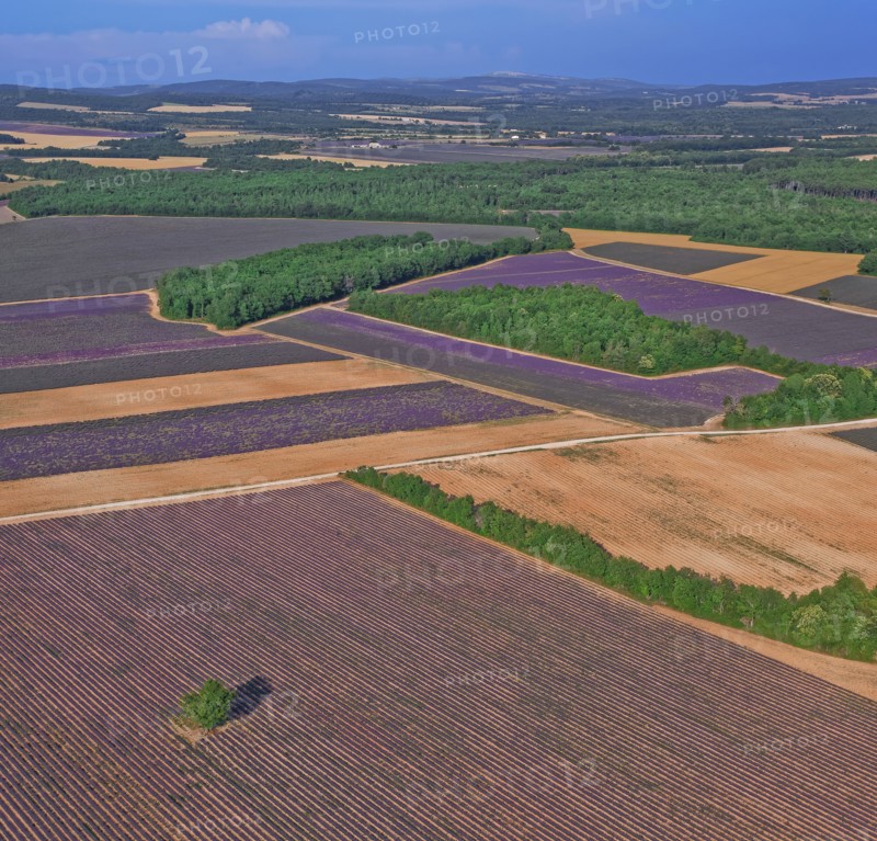 Plateau de Valensole, Alpes-de-Haute-Provence