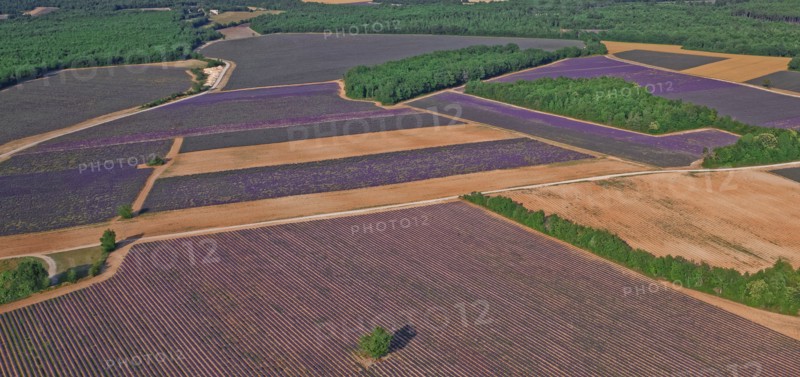 Plateau de Valensole, Alpes-de-Haute-Provence
