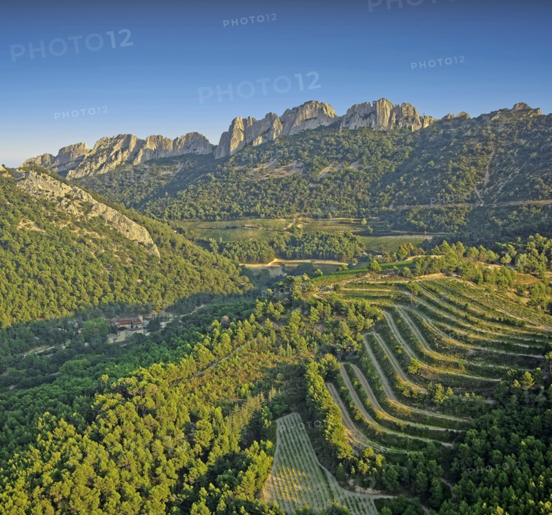 The Dentelles de Montmirail, Vaucluse, France