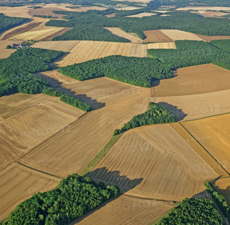 Paysage de la Puisaye, Yonne