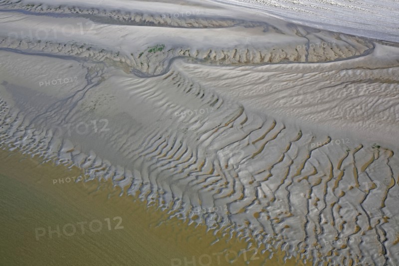 Baie d'Authie, Pas-de-Calais