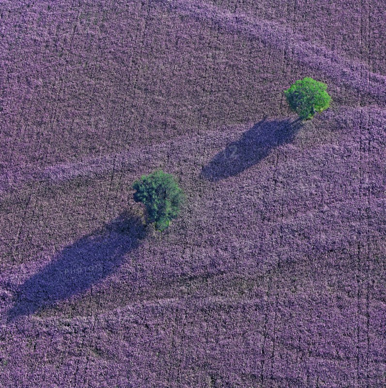 Plateau, Alpes-de-Haute-Provence