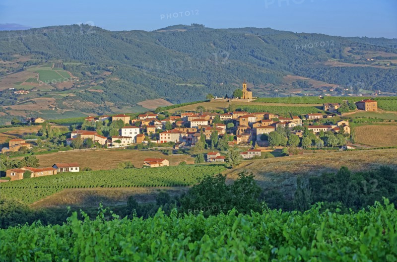 Bois-d'Oingt, Rhône