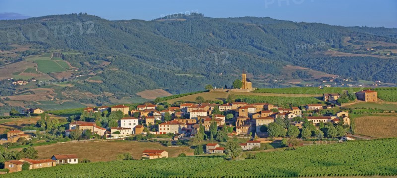 Bois-d'Oingt, Rhône