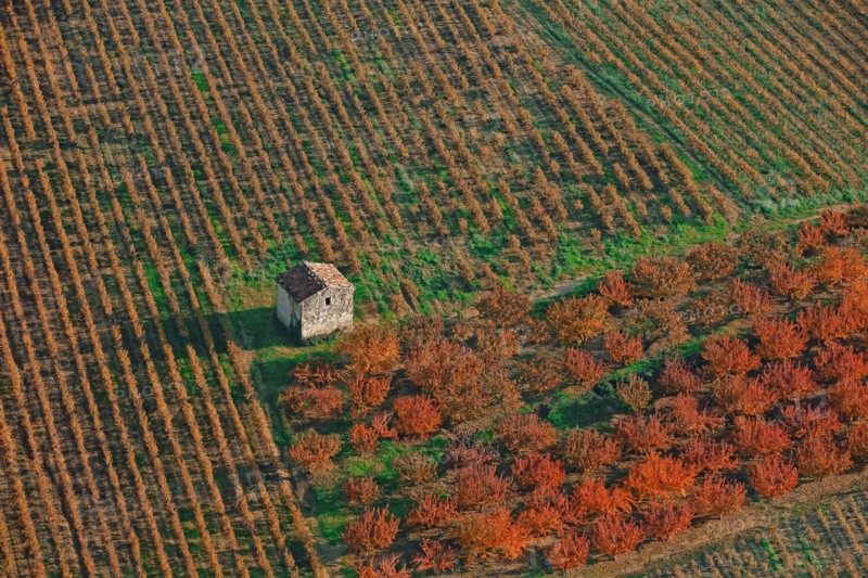 Paysage de verger, Drôme