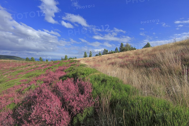 Paysage de l'Ardèche