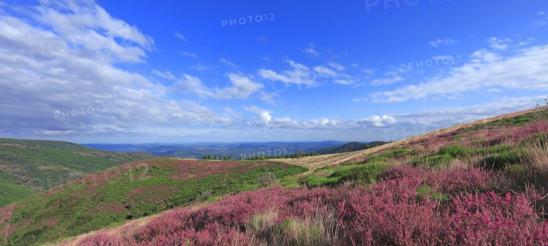 Landscape in Ardèche, France