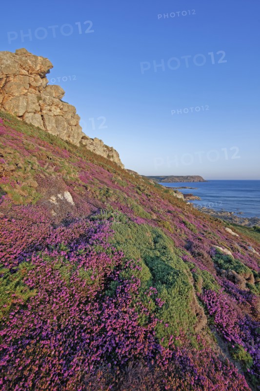 Cap de la Hague, Manche