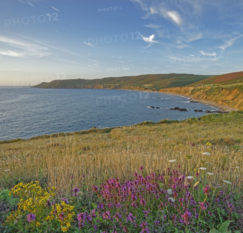 The Baie d'Ecalgrain, Manche, France