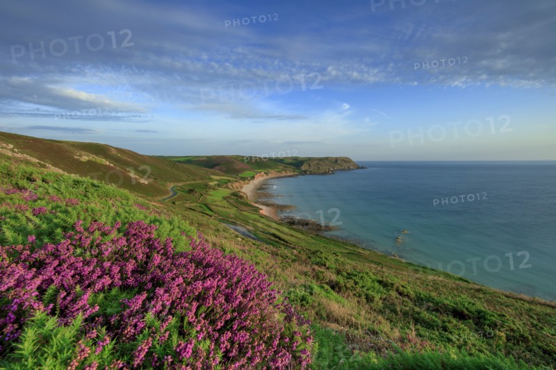 The Baie d'Ecalgrain, Manche, France