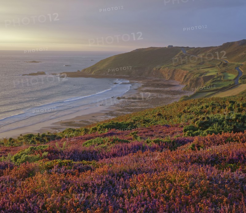 Baie d'Ecalgrain, Manche