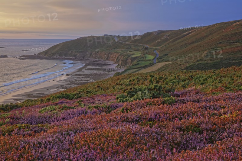 Baie d'Ecalgrain, Manche