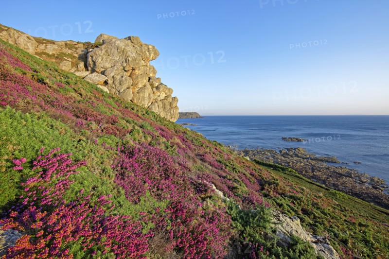 Cap de la Hague, Manche