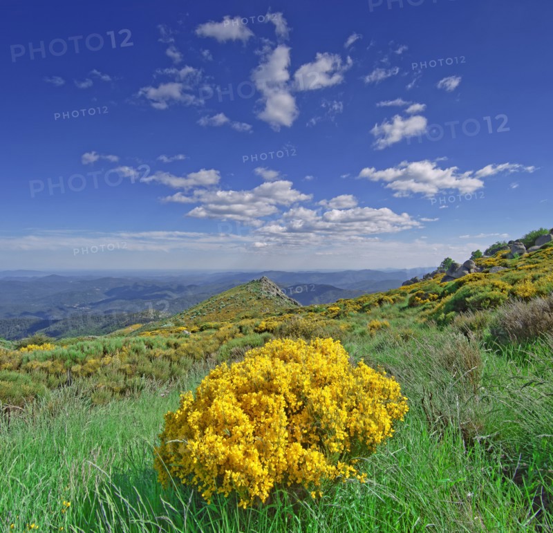 Vialas commune, Lozère, France