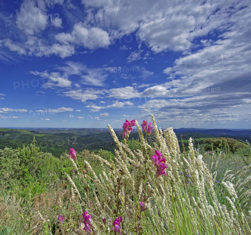 Landscape in Lozère, France