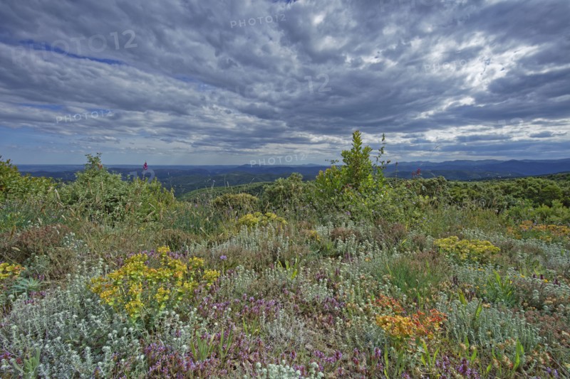 Paysage de Lozère