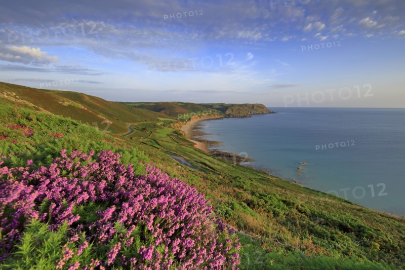 Baie d'Ecalgrain, Manche