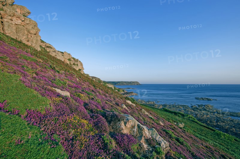Cap de la Hague, Manche