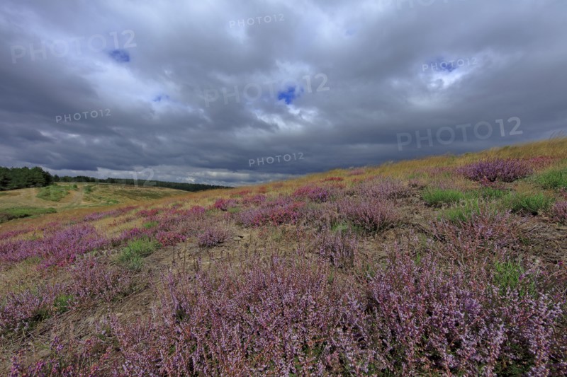Landscape in Ardèche, France