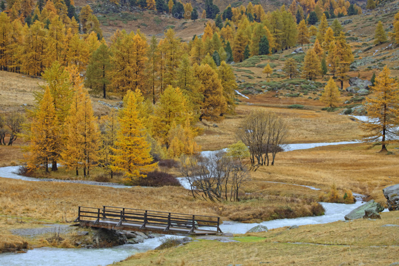 Vallée de la Clarée, France