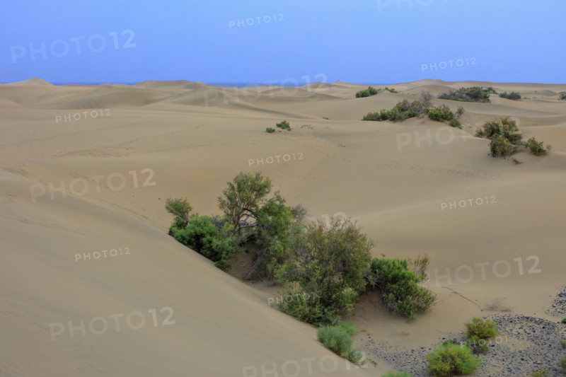 Dunes de Maspalomas, Las Palmas