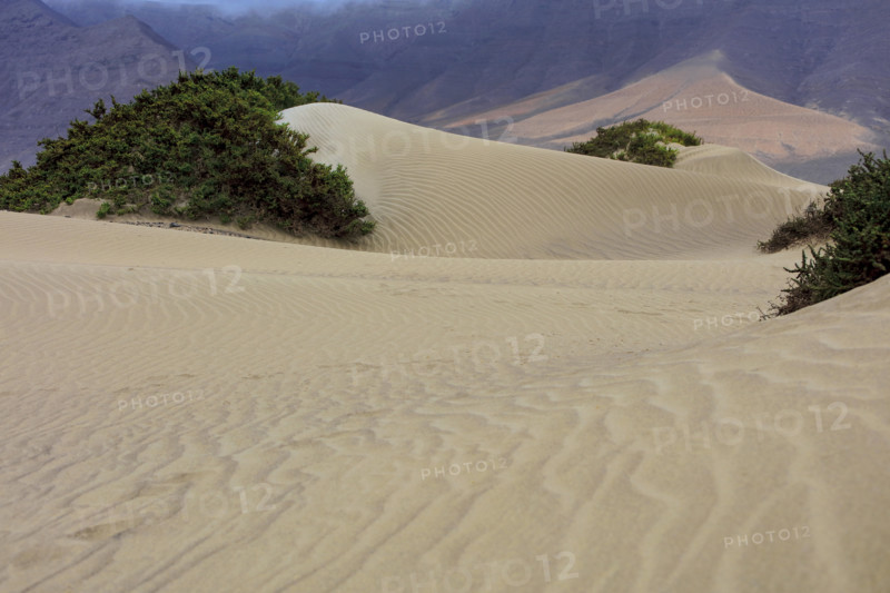 Dunes de Famara, île de Lazarote