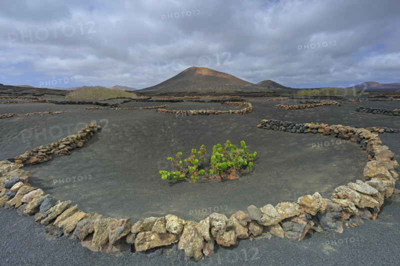 Domaine viticole de La Geria, île de Lanzarote