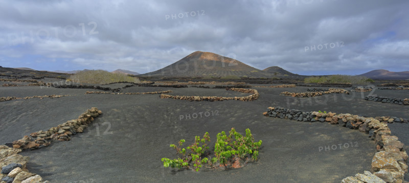 Domaine viticole de La Geria, île de Lanzarote