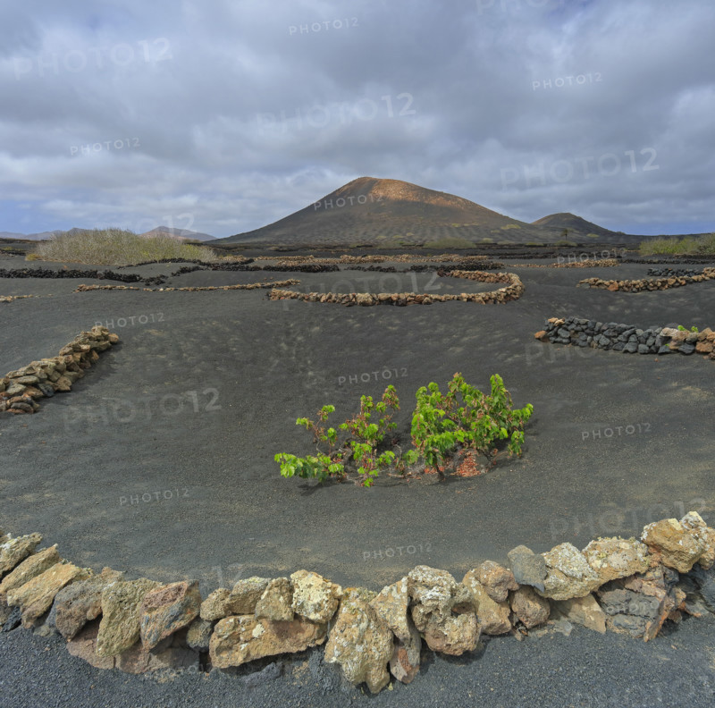 Domaine viticole de La Geria, île de Lanzarote