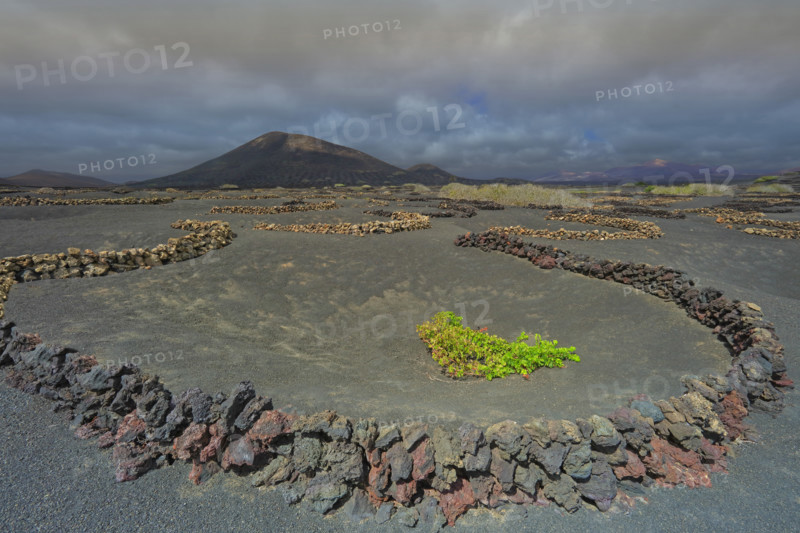 Domaine viticole de La Geria, île de Lanzarote