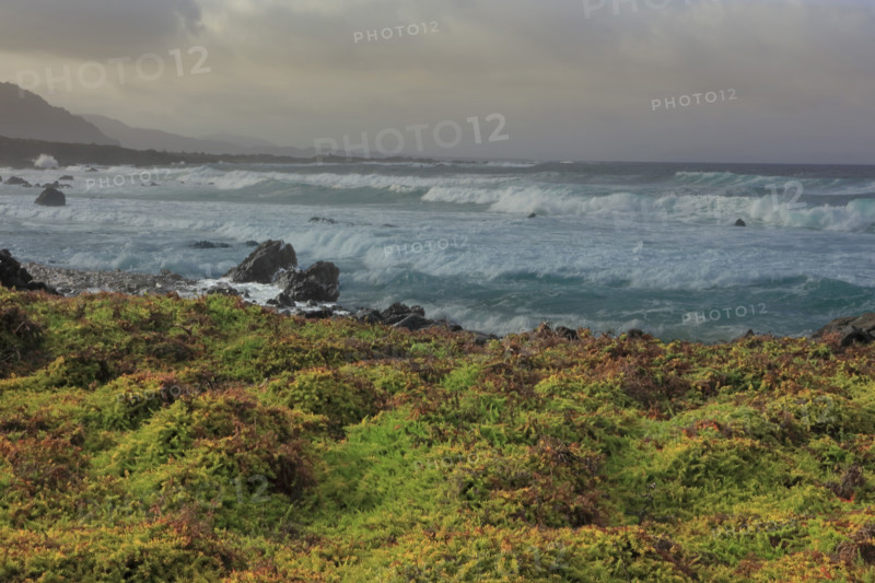 La Canteria beach on the island of Lanzarote
