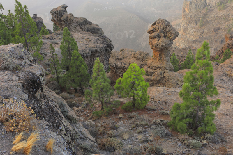 Pic de las Nieves, île de Grande Canarie