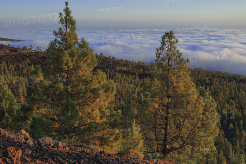 Coucher de soleil sur le Parc National Del Teide