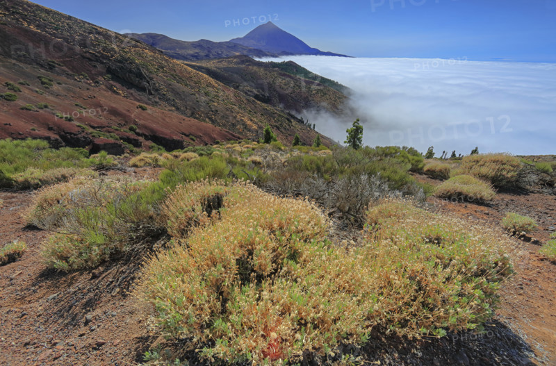 Teide volcano, Tenerife