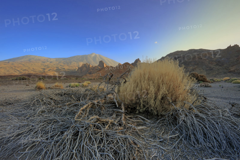 Volcan du Teide, île de Tenerife
