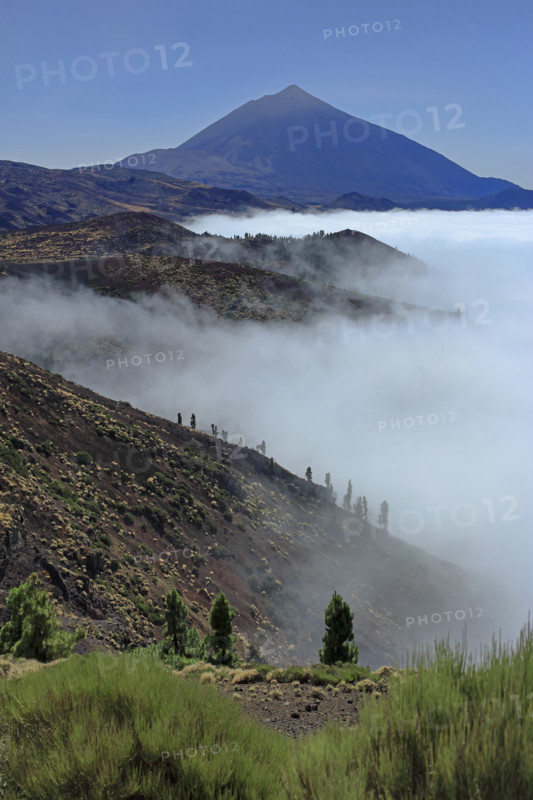 Volcan du Teide, île de Tenerife